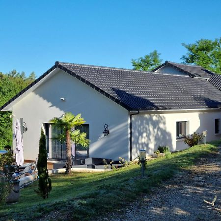 Maison de vacance contemporaine, plein Périgord pourpre Sainte-Foy-de-Longas Exterior foto